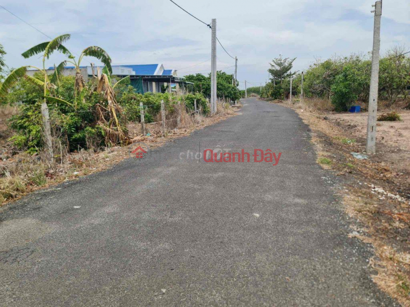 Property Search Vietnam | OneDay | Residential, Sales Listings, OWNER For Sale Land With Asphalt Road Frontage In Binh Chau Commune, Xuyen Moc District, Ba Ria Vung Tau