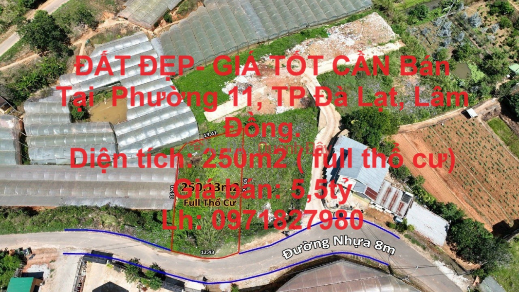 BEAUTIFUL LAND - GOOD PRICE FOR SALE IN Ward 11, Da Lat City, Lam Dong Sales Listings