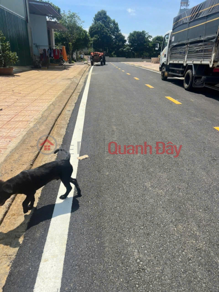 Property Search Vietnam | OneDay | Residential | Sales Listings | OWNER NEEDS TO SELL RESIDENTIAL LAND LOT IN BLAO WARD, BAO LOC CITY, LAM DONG PROVINCE