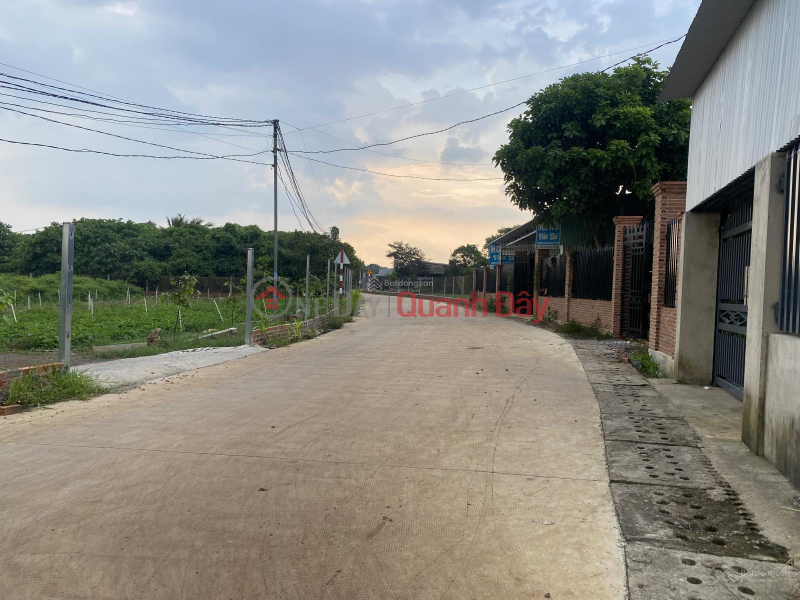OWNER SELLING 9300M2 LAND WITH TITLE DEED, FRONTAGE ON ROAD 25 - THONG NHAT COMMUNE Sales Listings