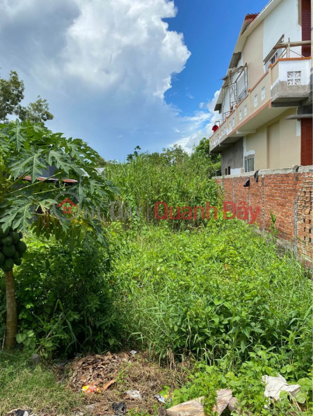 Land for sale in My Tho town, Cao Lanh District Sales Listings