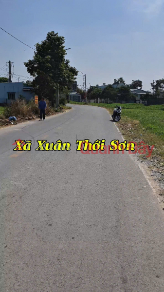 Property Search Vietnam | OneDay | Residential Sales Listings | (82) Large land for sale, frontage, container road, 5,170m2, Hoc Mon District, price 30 billion x billion