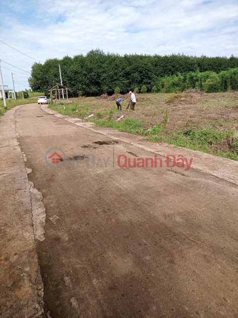 FOR SALE GENUINE LAND - CHEAP LOT IN Loc Ninh District, Binh Phuoc _0