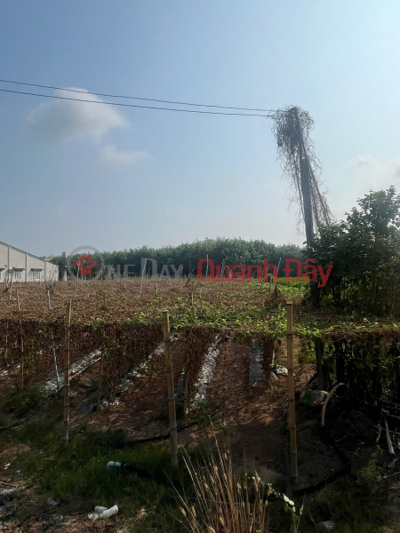 đ 1.05 Billion | PRIME LAND - GOOD PRICE - URGENT SALE! Land for sale in Suoi Da Commune, Duong Minh Chau District, Tay Ninh Province.