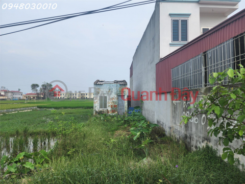 Land for sale in Lai Ha village, Tan Dan commune, An Lao district, Hai Phong city _0