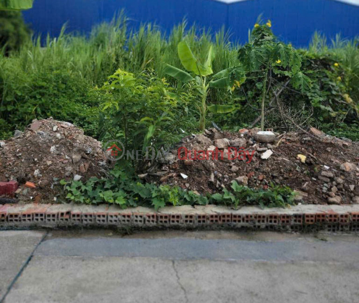 Beautiful square land, Truck alley 100m2 - Thanh Xuan 47, District 12 Sales Listings