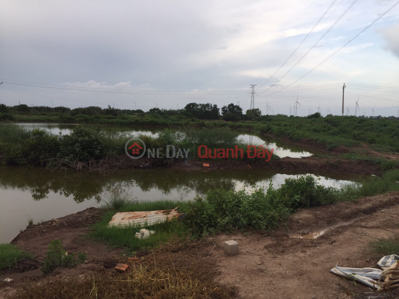 Shrimp pond land for sale includes: 35 workers. Price: 85 million/person. Sales Listings