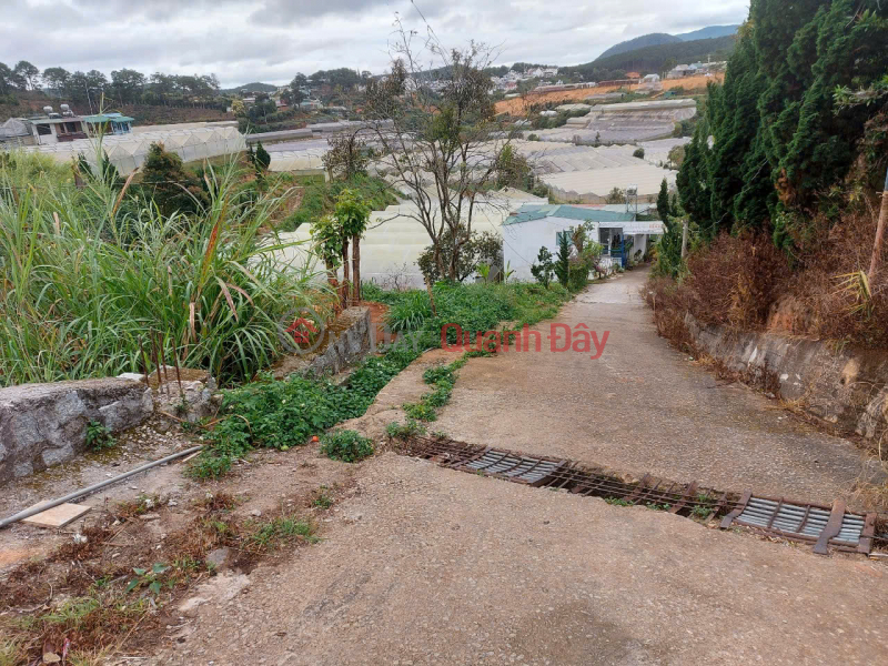 Property Search Vietnam | OneDay | Nhà ở | Niêm yết bán | BÁN ĐẤT TẶNG NHÀ GỖ ĐƯỜNG HUYỀN TRÂN CÔNG CHÚA PHƯỜNG 4, ĐÀ LẠT