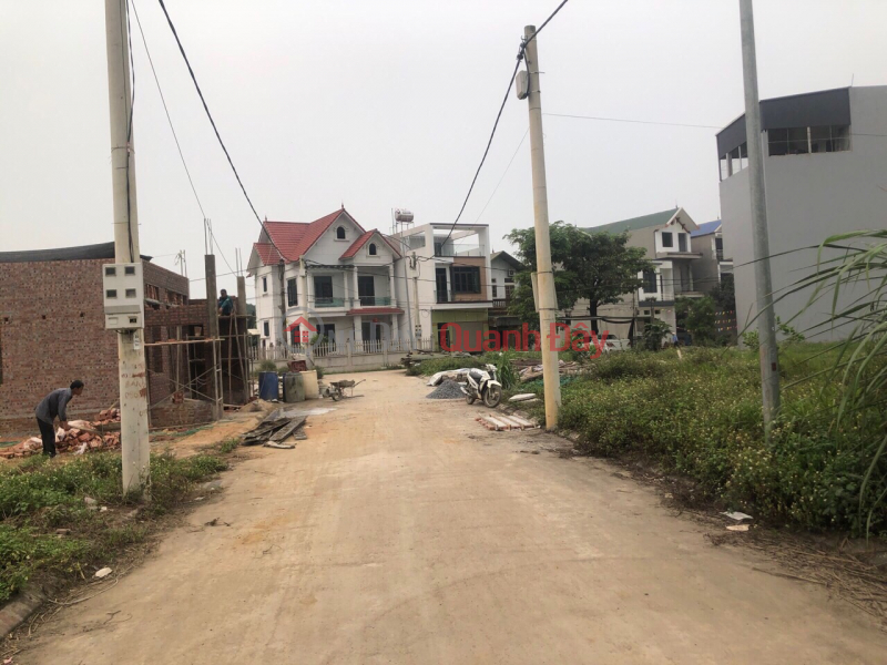 Property Search Vietnam | OneDay | Residential Sales Listings | AUCTION OF DONG SON COMMUNE - sidewalk subdivision at investment price - area 88.5 square meters - 2 lanes on interprovincial road