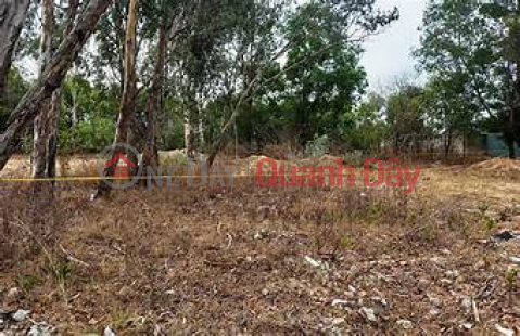 Owner needs to sell quickly Lot of land in Village 3, Hoang Tan Commune, near Ha Long Xanh project. _0