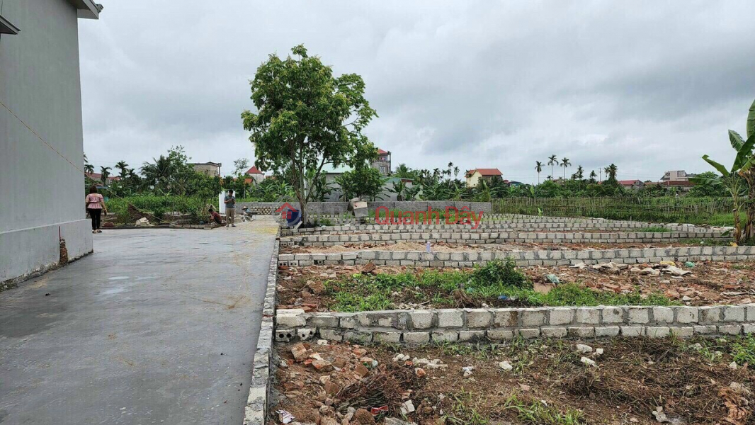 Property Search Vietnam | OneDay | Residential, Sales Listings, The owner needs to sell the land lot at Group 11 - Hoa Nghia Ward - Duong Kinh District - Hai Phong City
