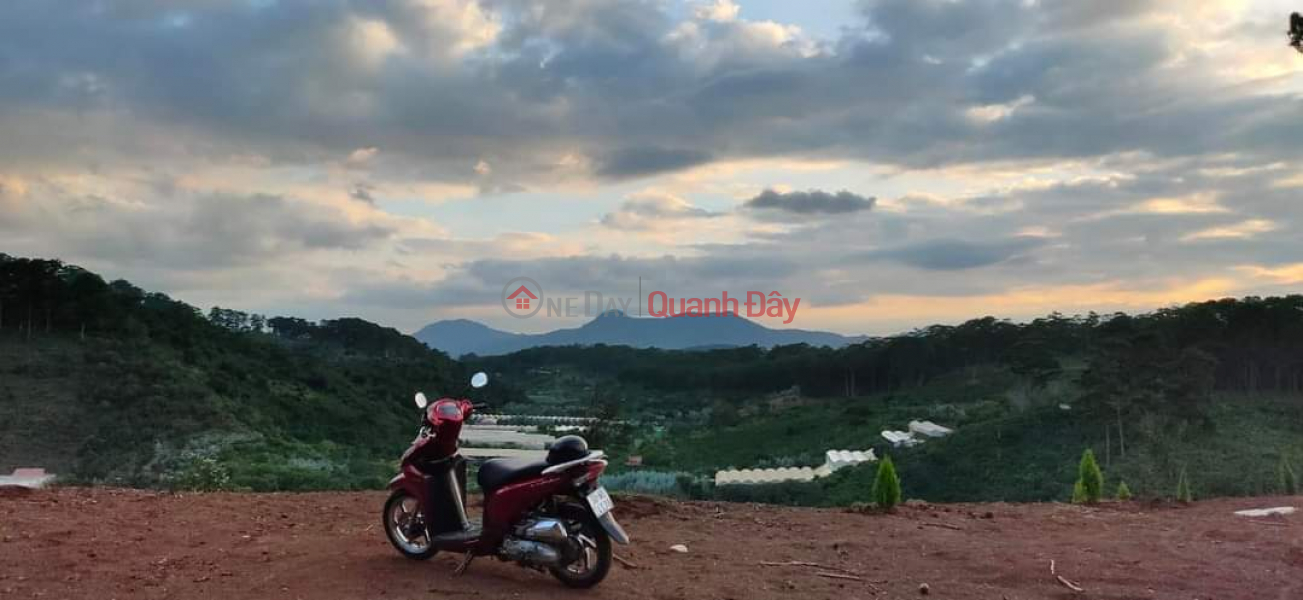 NEED MONEY FOR OWNER TO SELL PIECE OF LAND Beautiful Location In Xuan Son, Da Lat City, Vietnam Sales | đ 3.05 Billion