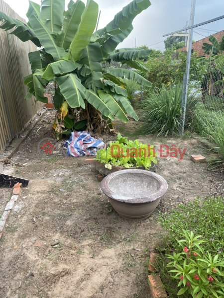 Property Search Vietnam | OneDay | Residential Sales Listings Beautiful Land - Good Price Owner Needs To Sell Beautiful Land Lot 4 x 14 Yards On Le Thi Dung Street, Vinh Loc A