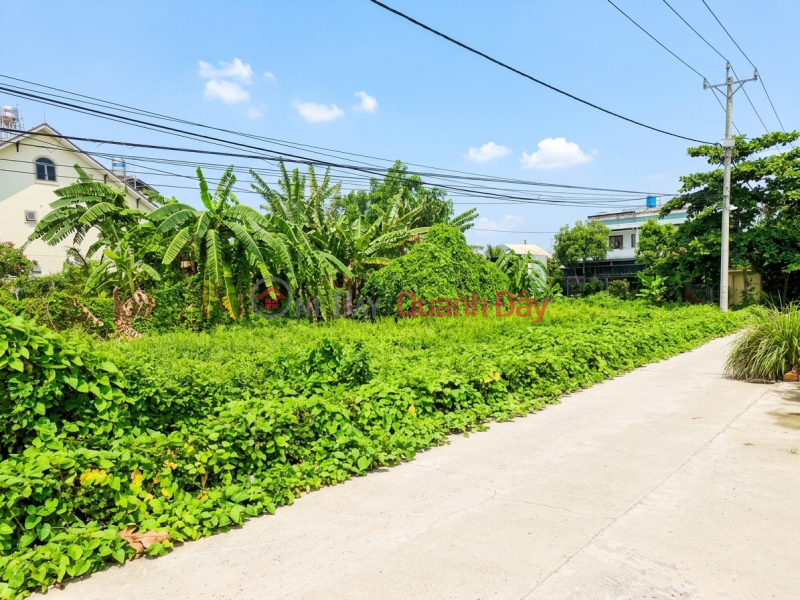 [O2510] 800m2 Garden Land near Senturia, divided into 12 plots, price 37.x billion VND. Vietnam | Sales | đ 37.99 Billion