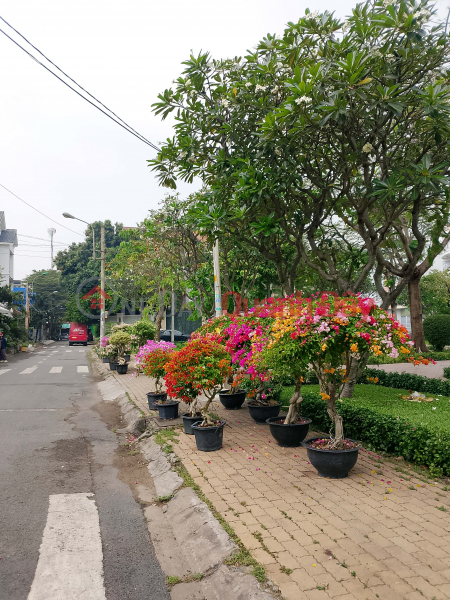 HOUSE WITH WIDER REAR AREA, GOOD FENG SHUI – VIP AREA BONG SAO – 6M WIDE ALLEY | Vietnam Sales | đ 9 Billion