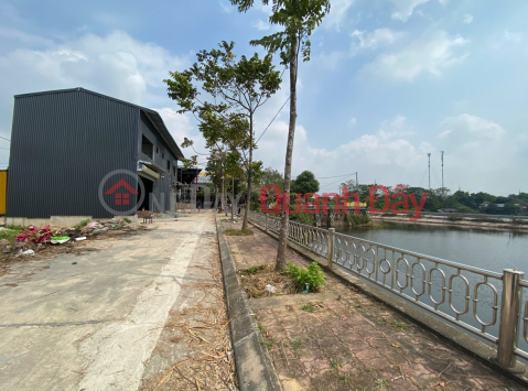 Owner selling auctioned land in Hung Dao commune, Hanoi - 85.2m2, next to a regulating lake, near Ring Road 4. _0