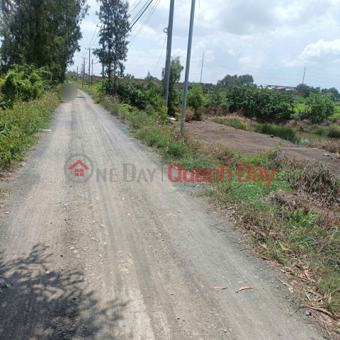 LAND FOR SALE QUICKLY NEXT TO VINHOME SAIGON PARK - GOOD PRICE Located near Thieu Nien Street, Xuan Thoi Son, Hoc Mon, HCM _0