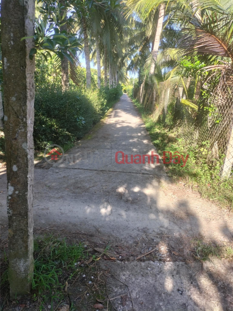 Owner For Sale Land Lot Prime Location In Phu Thuan, Phu Phong, Chau Thanh, Tien Giang _0