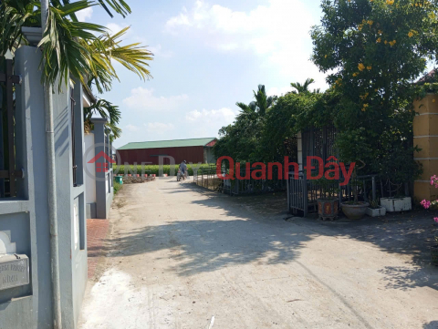 Land for sale in Thuan Thanh, Bac Ninh. 80m2 * frontage 4m * 1.85 billion. Open road _0