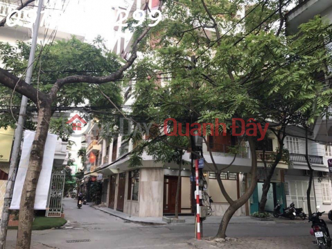Villa for rent in the corner of Do Quang street, Cau Giay _0