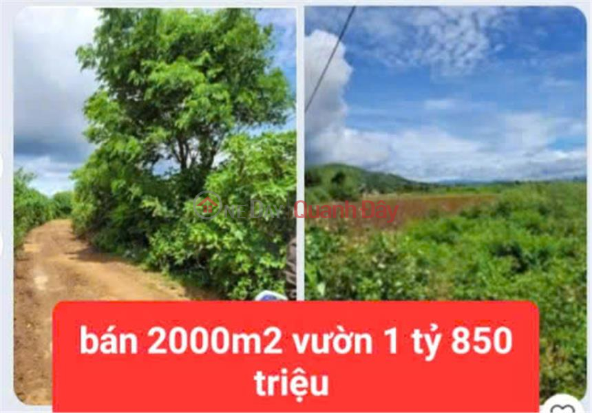 PRICE REDUCED FROM 2.6 BILLION TO SELLING 1 billion 850 million - 2 sao of garden land, group 32, Lien Nghia - Duc Trong - Lam Dong Sales Listings