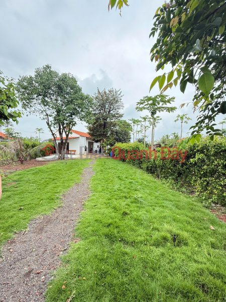GREENERY HOUSE BÀ RỊA – CƠ HỘI SỞ HỮU NHÀ VƯỜN NGHỈ DƯỠNG CHỈ TỪ 3 TỶ ĐỒNG/LÔ Niêm yết bán