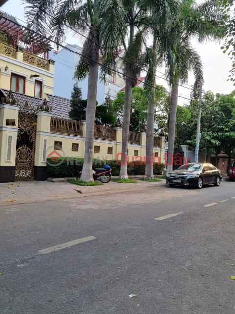 Selling the upper-class villa in the NAME OF FIRE AREA - BINH TAN - 250m2 - 28 billion - BEAUTIFUL, FREE OF CHARGE _0