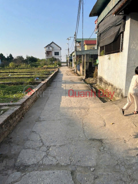 Selling a beautiful plot of land in Group 9, Quang Minh Town, Me Linh District, Hanoi. Near the industrial zone. Sales Listings