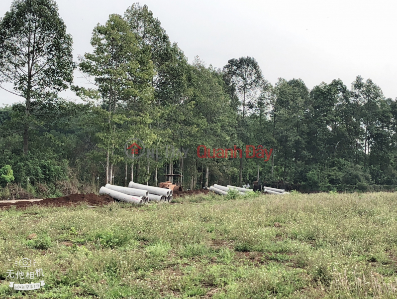 Selling 195m2 of residential land on Highway 51, Long Thanh, Dong Nai for more than 1 billion. | Vietnam Sales đ 1.85 Billion