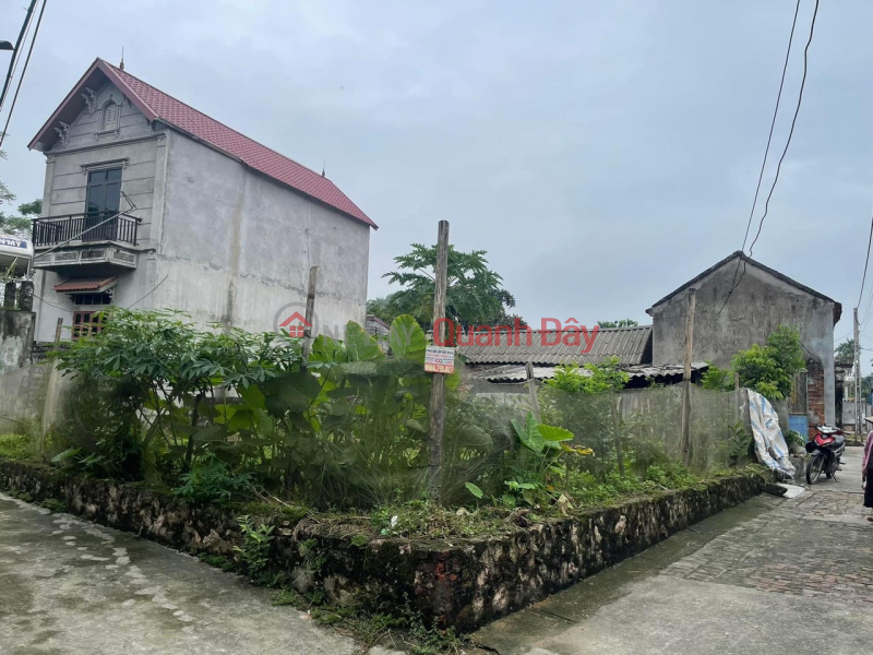 Property Search Vietnam | OneDay | Residential, Sales Listings | Consignment for sale 186m2, 1.x billion, subdivision, car, Nam Phuong Tien, Chuong My Hanoi.