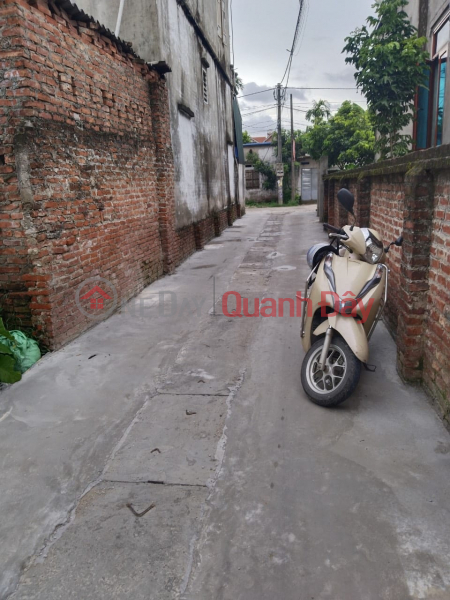 Property Search Vietnam | OneDay | Residential | Sales Listings | Leftover 59.5m2, price less than 600 million, in Thuong Vuc commune, Chuong My, Hanoi, regular car