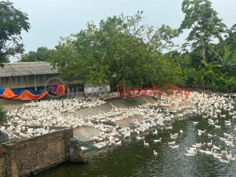 OWNER SELLS CHICKEN FARM 3,430M2 IN DONG SON-CHUONG MY-HANOI _0