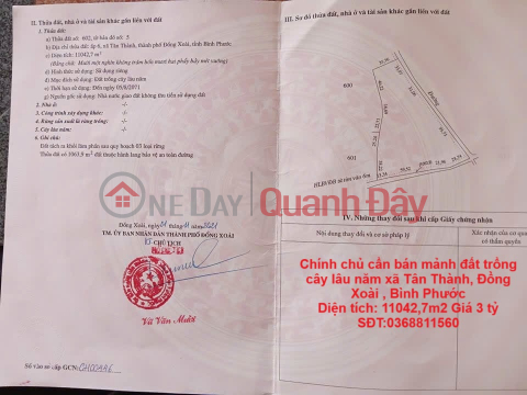 Chính chủ cần bán mảnh đất trồng cây lâu năm xã Tân Thành, Đồng Xoài , Bình Phước _0