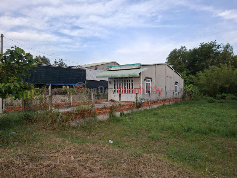 Property Search Vietnam | OneDay | , Niêm yết bán | Cần thanh lý gấp đất tại mặt tiền đường Phú Thuận- xã An Nhơn Tây ( trước là Phú Mỹ Hưng, Củ Chi),Hồ Chí Minh