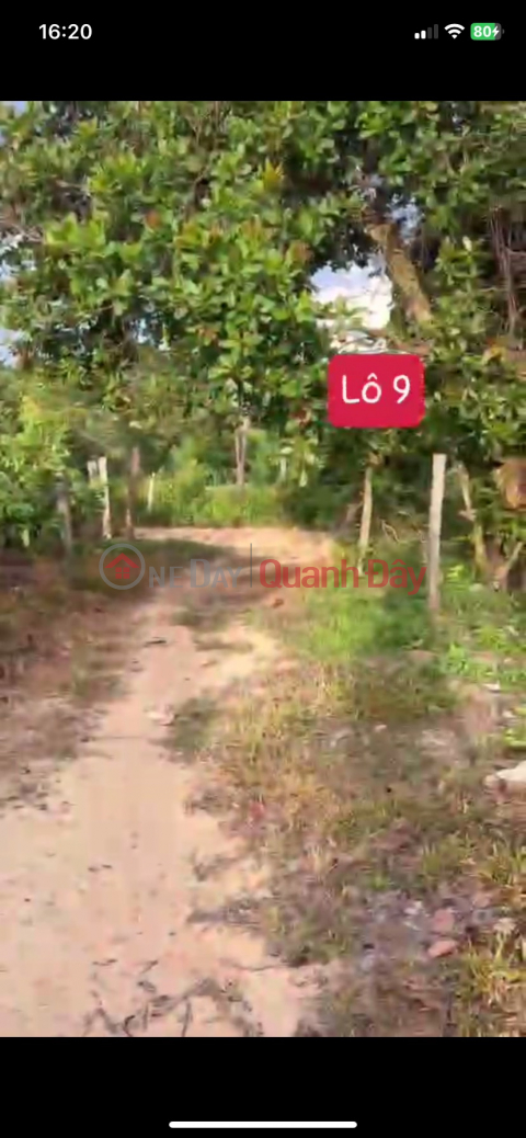 SELLING 500M2 OF LAND TO GIFT PRIVATE DUONG ON LAND IN Dak Lak For Only 96 Million _0