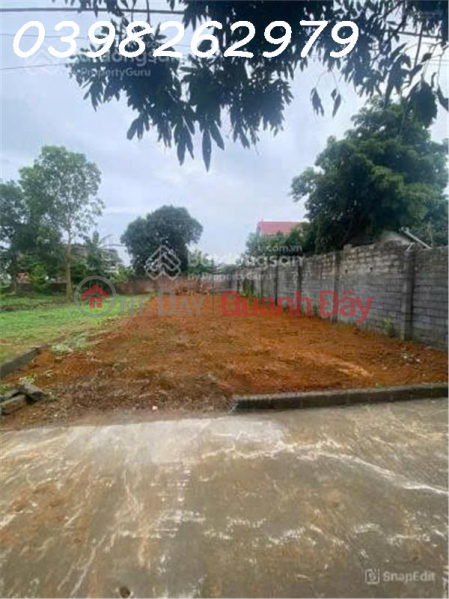 Bán đất chính chủ 229,7m2 có 100m2 thổ cư tại Thôn Yên Thái, Xã Đông Yên, Quốc Oai, Việt Nam, Bán đ 3,8 tỷ