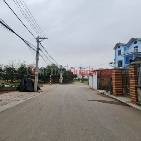 Corner lot on the car-avoiding road in Dong Du, Gia Lam, Hanoi. 252m2, frontage 30m. Contact 0989894845 _0