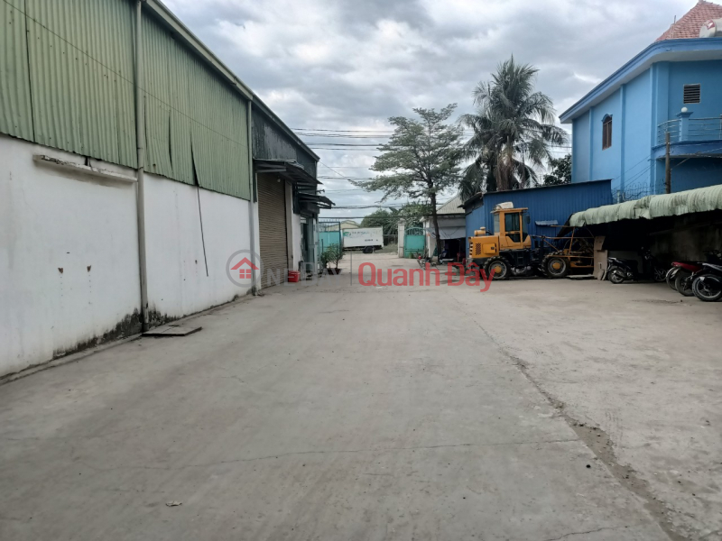 Factory for sale in Tran Dai Nghia, Tan Nhut, Binh Chanh Vietnam | Sales | ₫ 130 Billion