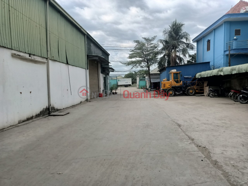 Factory for sale in Tran Dai Nghia, Tan Nhut, Binh Chanh | Vietnam Sales, đ 130 Billion