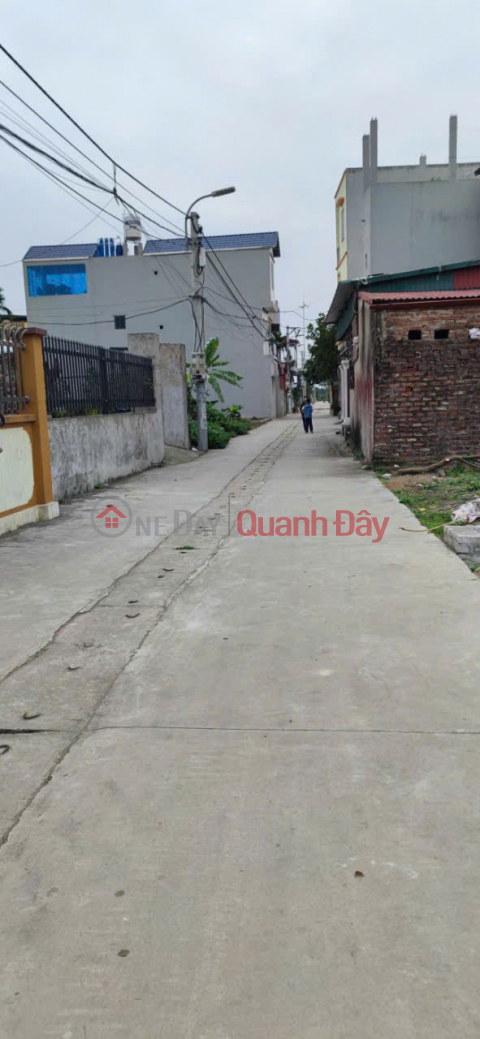 Land for Sale in Golden Location - Residential Group 9, Quang Minh Town, Me Linh, Hanoi _0