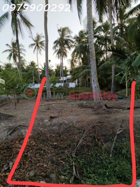 Property Search Vietnam | OneDay | Residential | Sales Listings | OWNER FOR URGENT SALE OF LAND LOT IN BEAUTIFUL LOCATION In Tra Vinh City, Tra Vinh Province
