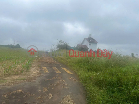 HOT HOT - NEED TO SELL LAND LOT WITH 2 FRONTAGES - Loc Tien Ward, Bao Loc (soon to become Bao Loc Ward 3),Lam Dong _0
