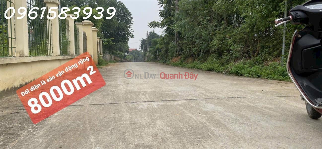 Property Search Vietnam | OneDay | Nhà ở Niêm yết bán | Cần bán lô đất HOA HẬU, đẹp hiếm có tại Ba vì: ĐẦY TIỀM NĂNG.