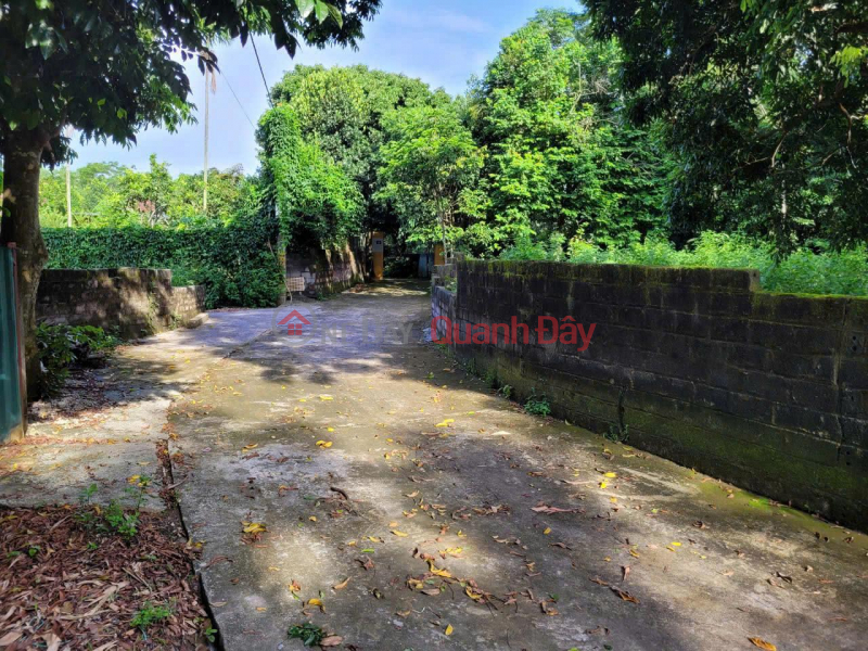 đ 3.02 Billion | Owner Needs to Sell 2 Plots of Land 500m2 in Phuc Loc, Co Dong, Son Tay, Hanoi.