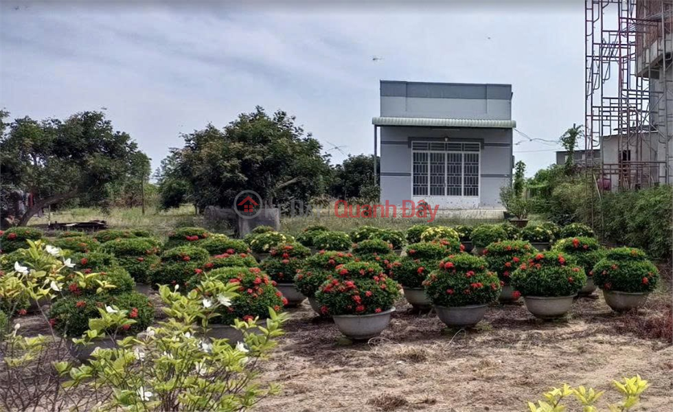 HOUSE IN A PRIME LOCATION - OWNER SELLING Vacation Home in Long Dien, BR-VT (Long Dien Commune, Ho Chi Minh City) Sales Listings