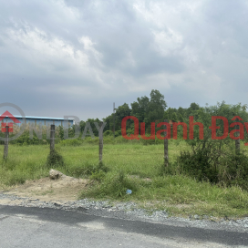 Land for sale on Hung Long - Quy Duc street, adjacent to Can Giuoc river _0