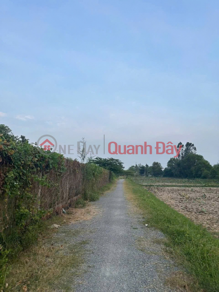 Property Search Vietnam | OneDay | Residential Sales Listings OWNER SELLING 2 adjacent plots of land in alley off D5 street, Hamlet 4, Ward 5, Tra Vinh City, Tra Vinh Province