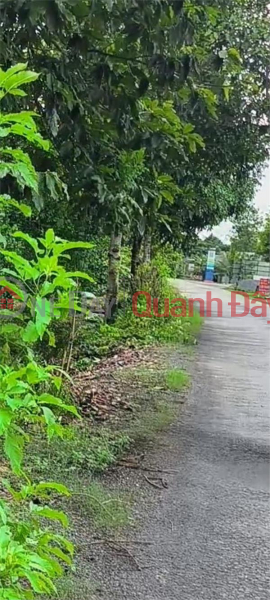 Property Search Vietnam | OneDay | Residential, Sales Listings, BEAUTIFUL LAND - GOOD PRICE - Owner For Sale 2 Adjacent Plots In Binh Thanh, Phung Hiep, Hau Giang