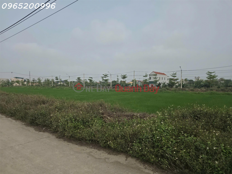 Prime land for sale, located on the main road in Khanh Hoi commune, Yen Khanh district, Ninh Binh province, ideal for investment., Vietnam | Sales | đ 4.7 Billion