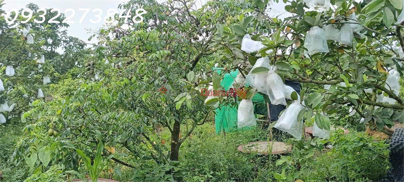 | Làm ơn chọn Nhà ở | Niêm yết bán đ 6,5 tỷ